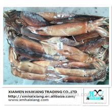 High Quality Frozen Whole Round Argentinus Illex Giant Squid price